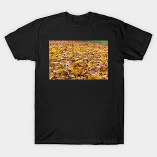 Fallen yellow and orange leaves in the forest T-Shirt